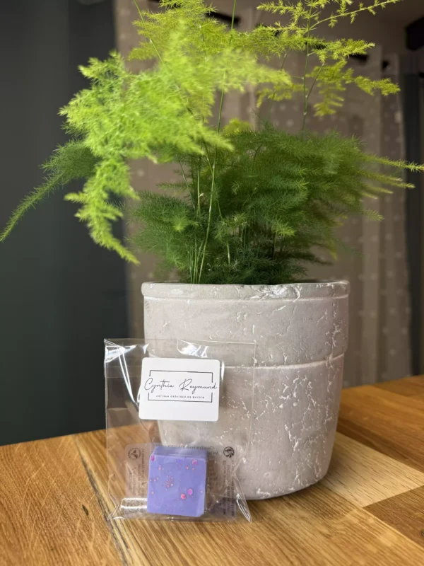 Fondant Carré Parfum Lavande 